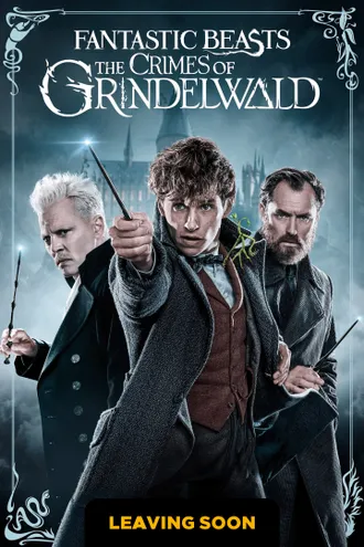 image_1 fiml caroussel