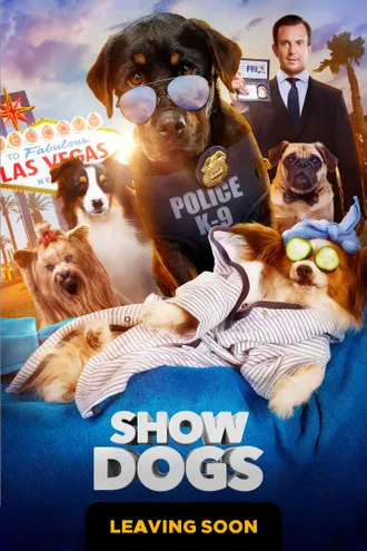 image_1 fiml caroussel