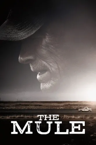 image_1 fiml caroussel