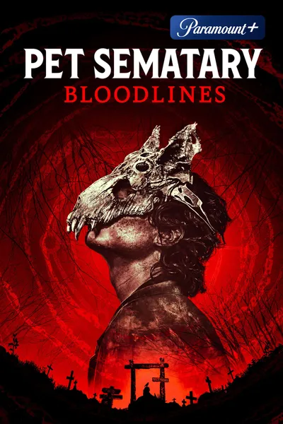 image_1 fiml caroussel