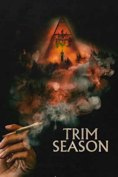 image_1 fiml caroussel